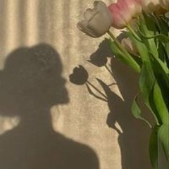 Mena Mohamed Abozaid