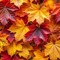 AUTUMN-LEAVES