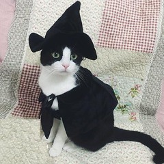 KRUCIFY