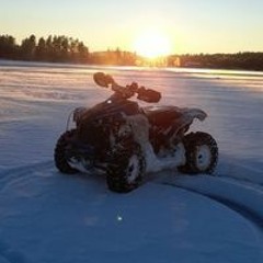 Tim Nygårds