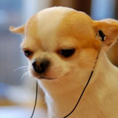 ญานิฌดาภา คํามีมา