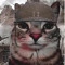 1000yardcat