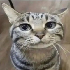 nicopatty