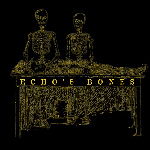 Stream Echo's Bones music | Listen to songs, albums, playlists for free on  SoundCloud