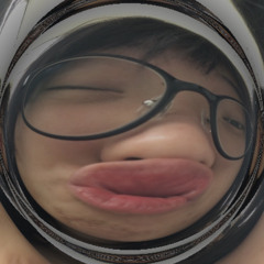 Vân Bắc Kì