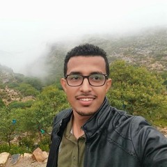 Ahmed Almashwali