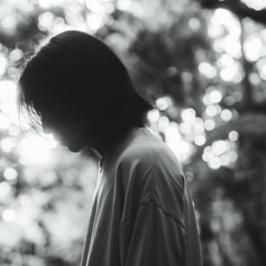 shoki hayashi
