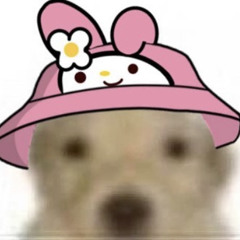 novas pet