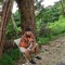 Daylo Joel