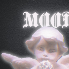 muddycupp