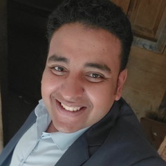 Mohamed Abd Elhamed Elsaid