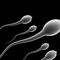 Lil_Tadpoles
