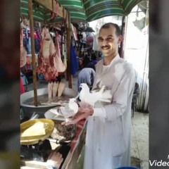 ابو ميرنا