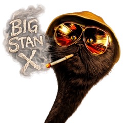 BIGstanX
