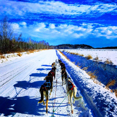 Quebek Musher