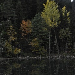 Kübra Zeynep Küçük