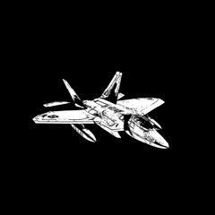 VΛGINΛ FIGHTER JET