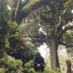 Esteban Bolaños Alfaro