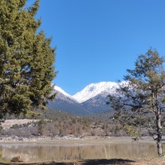 Blackmount