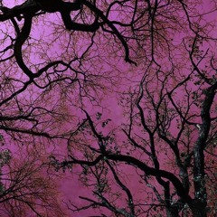 Wheretfkirago(@Kiras_Death)