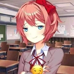 sam_22
