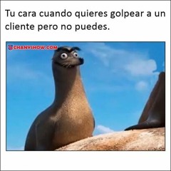 User 786841508