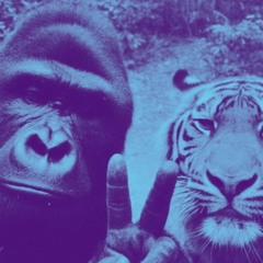 Travis Scott Type Beats