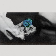 דיסקליימרים