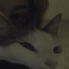 Maja