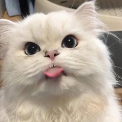 구구