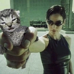 𝔐𝔞𝔡𝔢𝔩𝔦𝔫𝔢 ℜ𝔬𝔰𝔢