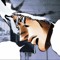 joshiro joestar