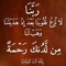 Fatma Elsayed