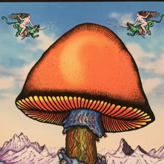 Roland Poster