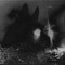 Hex Wolves