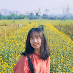 Phạm Linh Chi