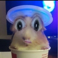 Der.Schnecktekk
