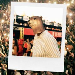 DJ LOUTRE