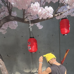 VIIBESENSEI