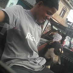 bebel