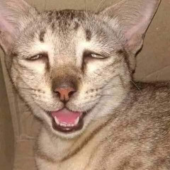 New private playlist