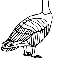 Spruce Goose
