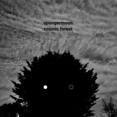 Spongermoon
