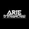 Arie D'ShanChai