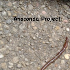 Anaconda Project