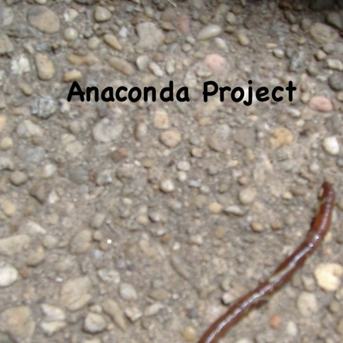 Anaconda Project’s avatar