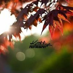 Karthikeya Karthik Karthikeya Karthik