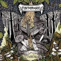 the tintamare band