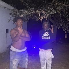 15lilshard