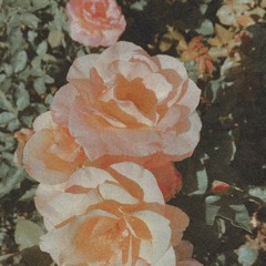 Evelien van Stempvoort